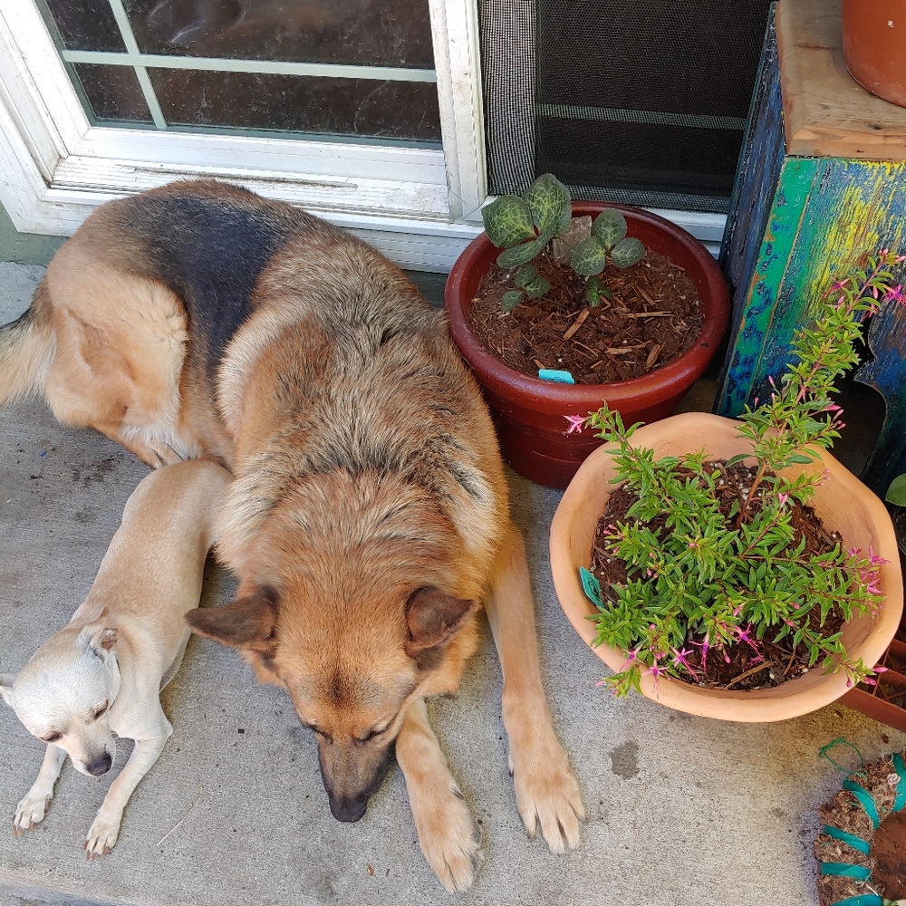 Meet your Posher, Ben